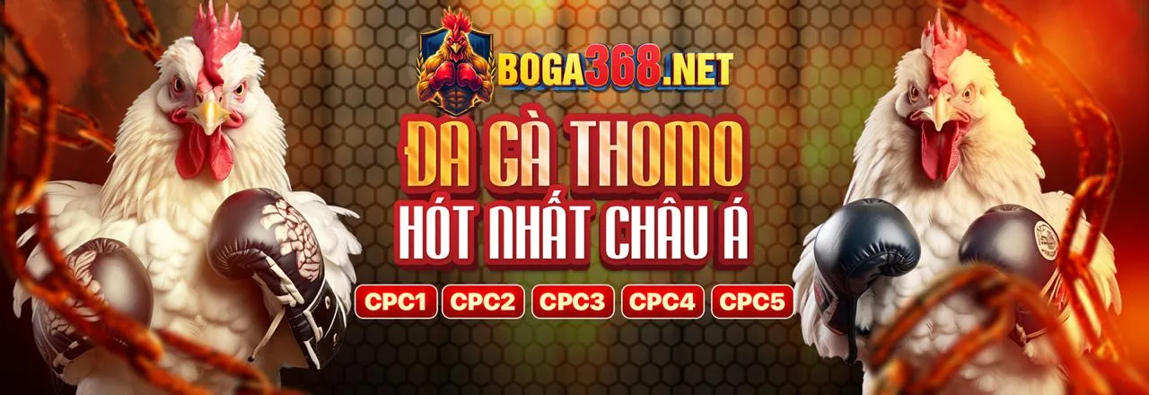 Hình ảnh đá gà trực tuyến và hướng dẫn chơi poker